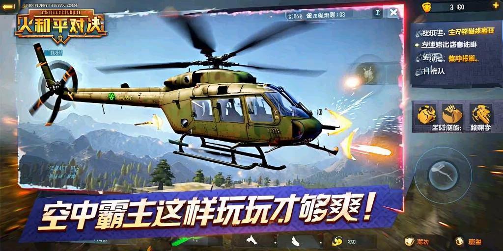 和平精英《火锅》辅助